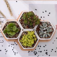 4pcs 육각 flowerpots 화이트 세라믹 즙이 많은 식물 냄비 대나무 스탠드 작은 분재 냄비 녹색 화분 홈 장식