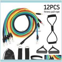 Equipments Supplies Sports & Outdoors12Pcs Resistance Bands ...