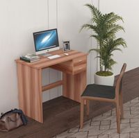 Home Furniture Computer Desk with 2 Pull Out Storage Drawers and Stable Wooden Frame, OAK