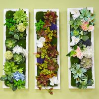 Fleurs décoratives Couronnes Nordic Home Design Decor Mur suspendu 80cm Succulents artificiels Faux plantes PO Cadre de salon Plante verte b