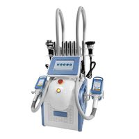 360 Cryolipolysis Yağ Donma Zayıflama Makinesi Vakum Adipoz Azaltma Kriyoterapi Kriyo Kilo Kaybı Ekipmanları LLLT Lipo Lazer Spa Salon Kullanımı