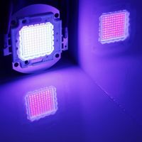 High Power LED-chip 100W Lila Ultraviolett (UV 395 ~ 400nm) SMD COB Light 100 W Ultra Violett glödlampa växa ljus