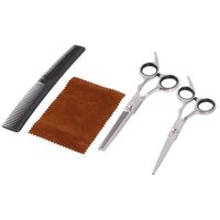 Tesoura de cabelo 4 pcs ferramentas de corte de cabelo conjunto afinando o kit de cisadeira de barbeiro para salão de casa