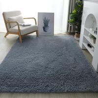 Carpets épais lavables en soie en peluche moquette de sol de chambre à coucher chambre à coucher de chambre à coucher la baie vitrée