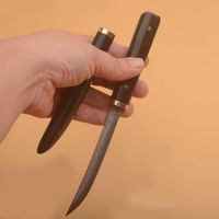 High End Kleines gerades Messer VG10 Damaskus-Stahl-Drop-Punkt-Klinge Ebenholz + Edelstähle Kopfgriff im Freien EDC Keychain-Messer