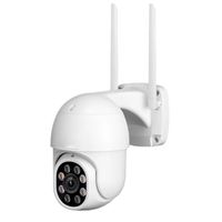 QZT PTZ IP Camera WIFI 360 ° Nacht Dome Camera Vision CCTV Video Surveiling Waterdichte Sricam Home Security Outdoor