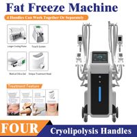 2021 Multi- function Fat Freezing Body Slimming Weight Reduce...