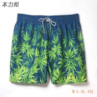 Pantanos pantalones cortos de baño de verano vilebrequin bermuda beach ropa tortugas verano shorth short estilo de moda