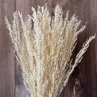 70g 35~45CM Decorative Dried Natural Flowers Dry White Grass Bouquet For Bedroom Decor Accessories,Home,Wedding Decoration 220114