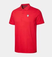2021 Summer nouveau F1 Racing Sportswear Formula One Team Polo T-shirt à manches courtes pour les fans du même style, de grande taille peut être personnalisé