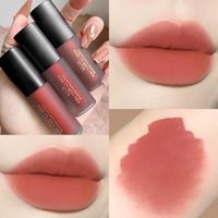 Lip Gloss Fashion Lipstick Velvet Veludo fosco à prova d'água duradoura Red Tint Beauty Cosmetics