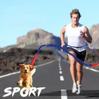 Elastik Ayarlanabilir Spor Pet Yürüyüş Tasma Eller Ücretsiz Köpek Tasmalar Bel Pet Köpek Tasma Koşu Koşu Yavru Köpek Köpekler Kurşun Yaka