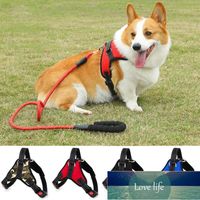 Dog Collars & Leashes Soft Adjustable Harness Pet Large Walk...
