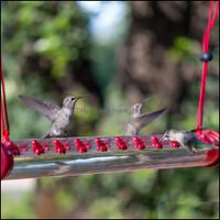 Andra husdjurshem GardenOutdoor Hummingbird Foderrör Vilda fågelmatare Trädgårdsbruk Hängande Utanför Fåglar Tillbehör Drop Leverans 2021 NOXB