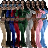 Velour Tracksuits Designer Women 2 Piece Sets Sportswear Velvet Long Sleeve Sweatshirt Jackets + Flared Pants Outfits Plus Size