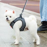 الكلب الياقات المقاود الصدر حزام سترة نوع المشي حبل المتوسطة والجر صغير سلسلة تيدي مومياء اللوازم