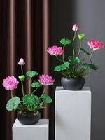 Flores Artificiales Chinas Plantas al por mayor a precios baratos | DHgate Flores Artificiales Chinas Plantas al por mayor a precios baratos | DHgate