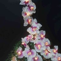Holiday Handmade Flower Orchid Light String,Christmas Event Party New Year Floral Garland,Festival Strip Supplies,Home Decor. G0911