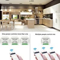 2 Gang 2 Way WiFi Smart Light Control Switch DIY Breaker Module Smart Life / Tuya App Fernbedienung mit Alexa Echo Google Home A53