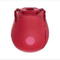 Masseur de jouets sexuels Lexiang Clitoral Sucking Vibrator Rose Sex S pour les femmes Autres produits