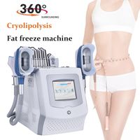 2022 Portable Frozen Fat Decomposition Slimming Weight Loss ...