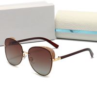 Sonnenbrille Modedesigner Sonnenbrille Herren Womens Top -Qualität Sonnenbrille für Mann Frau Luxus polarisierte UV400 -Schutzlinsen Ledertuchkasten Accessoires