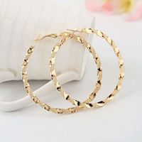 Hoop & Huggie Pair Sell Twisted Loops Flower Earrings For Women Fashion Jewelry Double Sided Gold Silver Plated 2022Hoop