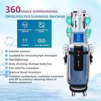 360 Cryolipopolysis 지방 동결 슬리밍 캐비테이션 RF 감소 체중 기계 Lipo Laser Body 형성 리포저상 360 흡입 진공 시스템