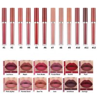 Lip Gloss Velvet Velvet Matte Lipstick Liquid Lipgloss Custom sin logotipo MakeUplip
