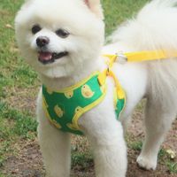 Dog Collars & Leashes Harness No Pull Adjustable Puppy Cat C...