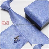 Nek Tie set stropdassen mode -accessoires stropdas pocket square manchetjes manchetjes heren polyester zijde 21 -stijl geschenkdozen zijn individueel verpakte druppel