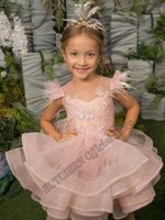 Girl's Dresses Blush Pink Tulle Feathers Flower Girl Ball Gown Baby Girls Couture Birthday Wedding Party Costumes Customised