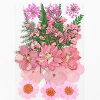Decorative Flowers & Wreaths 1 Set Mixed Dried Pressed Flowe...