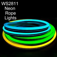 LED neon touwlichten RGB 16.4ft/5m Shine Decor Multicolor LED -strips Licht 12/24V Dimable SMD5050 60LEDS/M Waterdichte flexibele touwen verlichting Outdoor Crestech