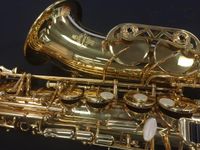EB Student Alto Saxophone Gold Lacquer F# Key Mother of Pearl Key Buttons Blue Steel Springs Design French with Deatpices
