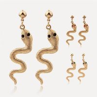 New Chrismas Gift for Girl Lady Snake Earrings Kit Animal Snake Dangle Earrings Snake Wave Drop Earrings for Women Fashion Jewelry276I