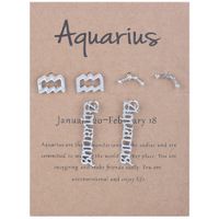 Stud Card Packaging Horoscope Zodiac Earrings 12 Constellati...
