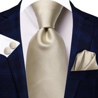 Bow Ties Light Champagne Solid Silk Wedding Tie For Men Handky Cufflink Necktie Set Fashion Design Business Party Drop Hi-Tie322A