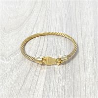 Men Vintage Stainless Steel Mens Wire Cable gold Bangle Bracelets for Boys Male Jewelry With Box With Stamp Wholesal252D