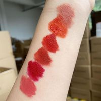 Lipgloss bequem 3,5 g Mode Samt Mattpaste Natural Foggy Effect für Femalelip