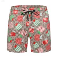 Pantalones cortos de playa damas shorts shorts de moda diseñador de moda de moda