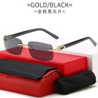 Luxury Carti men' s Sunglasses frameless square Sunglass...