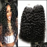 Loop Micro Ring Hair Extensions Products Mongolian Kinky Curly Double Dn Virgin Brazilian Remy 200G Human Drop Delivery 2021 Qy0Bg