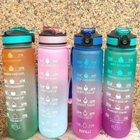 Schnelle Lieferung 33oz Außenwasserflasche mit Stroh 1000 ml Sportflaschen Wanderung Campinggetränk Flasche BPA kostenlos farbenfrohe tragbare Plastikbecher 0620