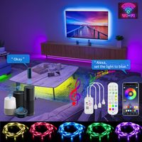 Tuya RGB 5050 44KEY CONTRÔLE ALEXA LED Strip TV TV Ordinier chambre Music Sync WiFi prend en charge Google