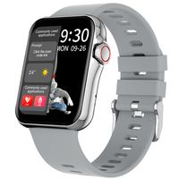 Profissional Watchpremiumm Men Smart Watch for iPhone NDW07