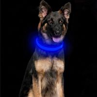 Dog Collars & Leashes Illuminated LED USB Rechargeable Nylon Collar With Quick Release Safety Buckle Night Glow Safe Walking Exercising At