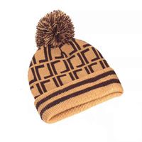 Men' s And Women' s Winter Hat Luxurys Designers Fas...