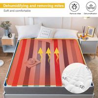 Blankets Professional Euro Electric Blanket Heated Double Th...