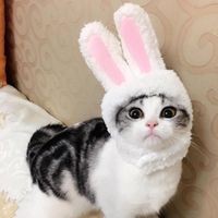 Hundekleidung lustige Ostern niedliche Plüschkostüm -Kappe Kopfschmuck Hut mit Ohren für Katzen und kleine Hunde Haustierprodukte 2022Dog Hundedog